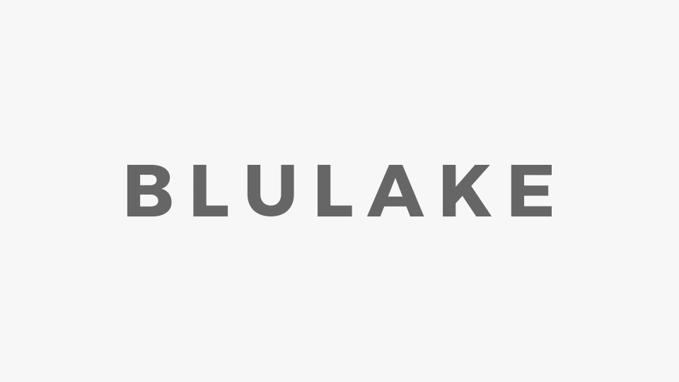 Blulake Real Estate — immagine 4